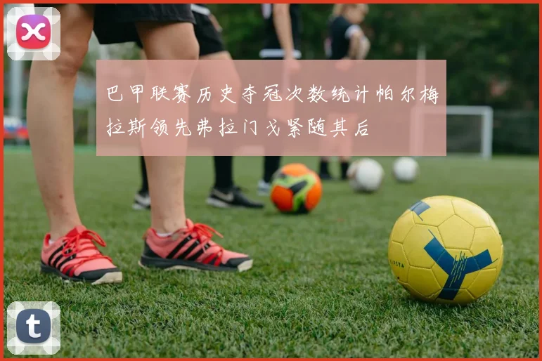 巴甲联赛历史夺冠次数统计帕尔梅拉斯领先弗拉门戈紧随其后