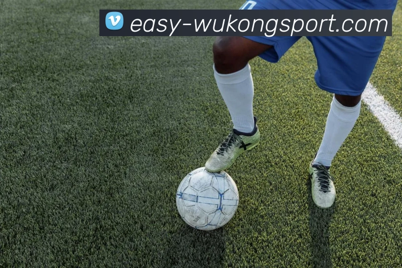 悟空体育品牌故事