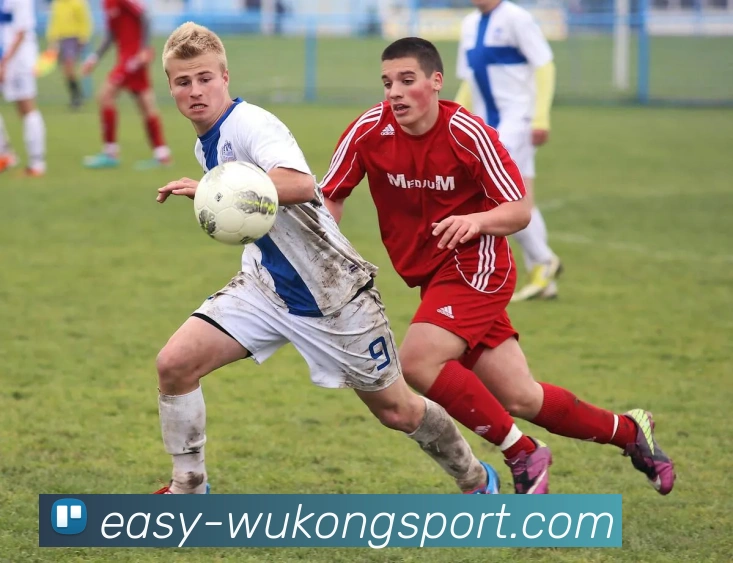 悟空体育服务体系